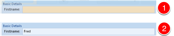 How do I know a field is mandatory?