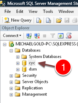 Select the Database