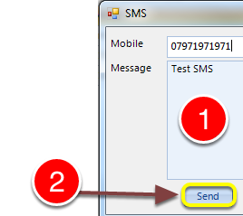 Send the SMS
