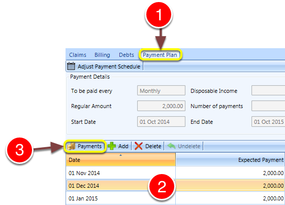 Open the Payment Details window