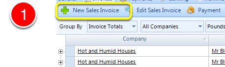 Create a New Sales Invoice